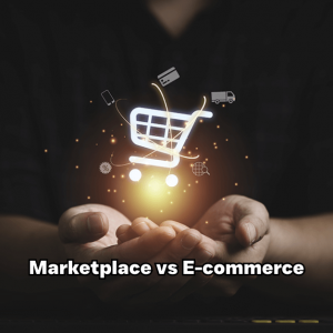 Marketplace dan E-Commerce, Mana yang Lebih Baik